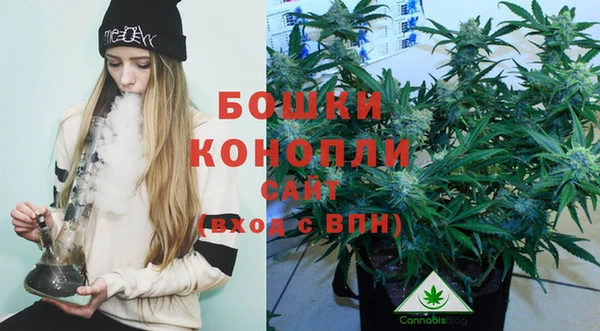 шишки Заволжск