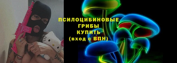 шишки Заволжск