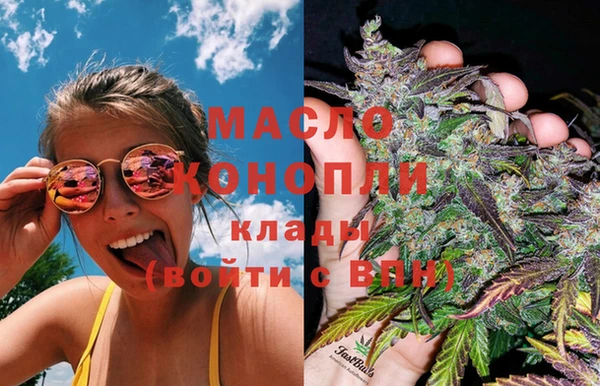 шишки Заволжск