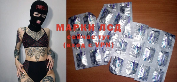 шишки Заволжск