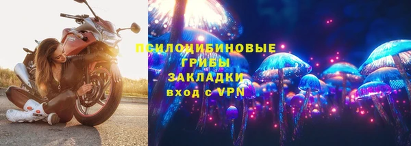 шишки Заволжск