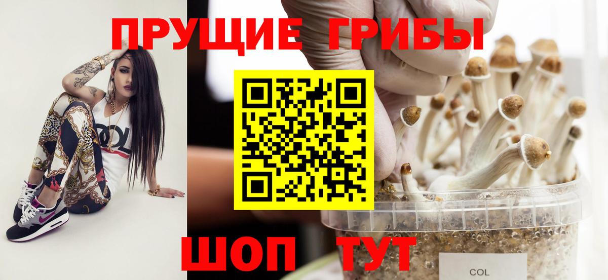Галлюциногенные грибы прущие грибы Среднеуральск