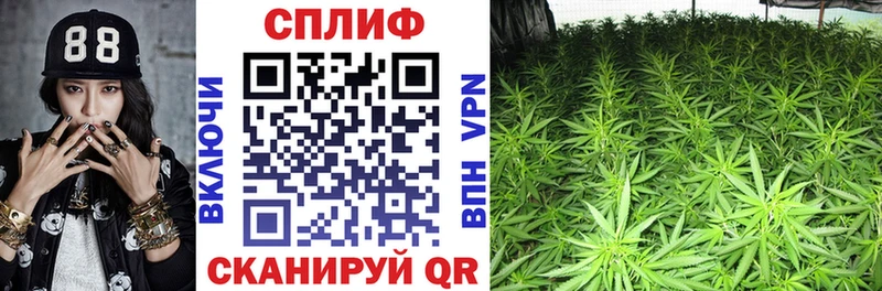 где можно купить наркотик  Среднеуральск  Каннабис VHQ 