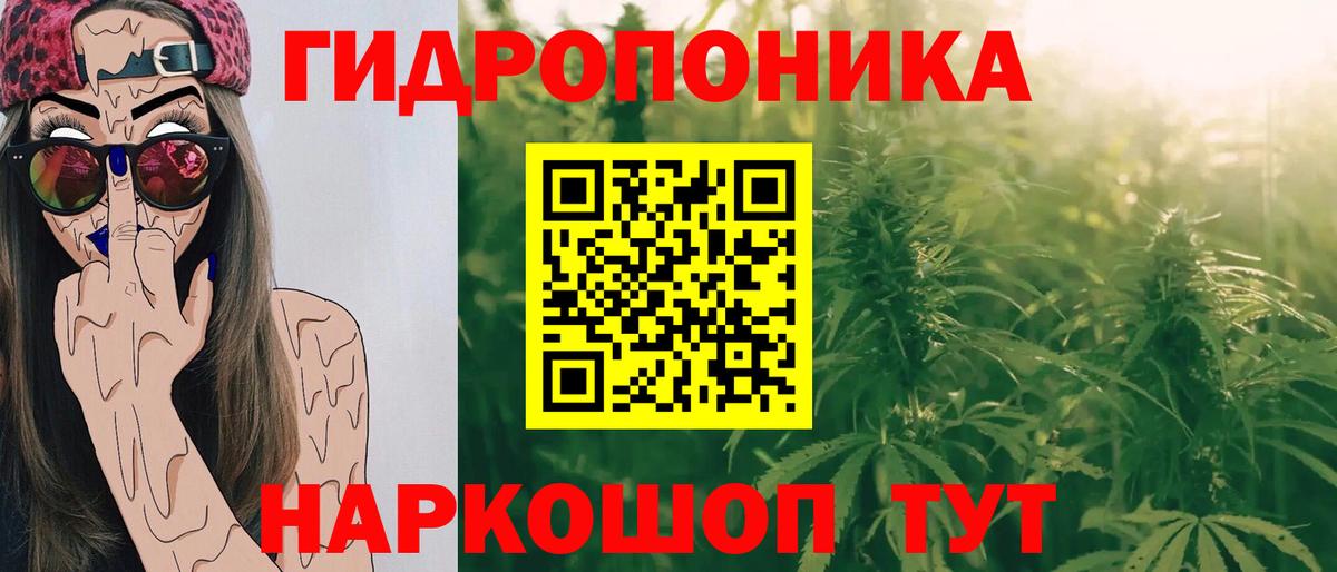 Шишки марихуана индика  Вход с VPN  Среднеуральск  Конопля конопля  Канабис планчик  Конопля план 